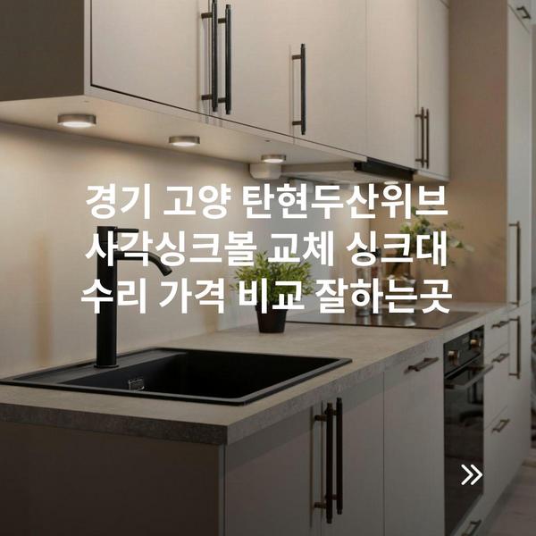경기 고양 탄현두산위브 사각싱크볼 교체 싱크대 수리 가격 비교 잘하는곳