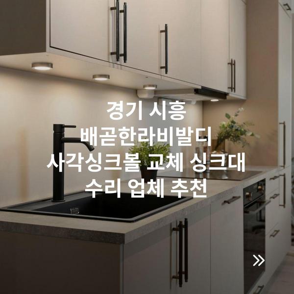 경기 시흥 배곧한라비발디 사각싱크볼 교체 싱크대 수리 업체 추천