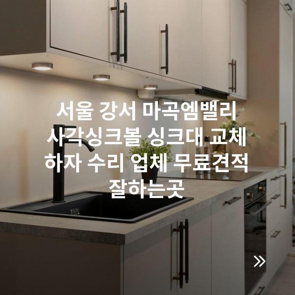 서울 강서 마곡엠밸리 사각싱크볼 싱크대 교체 하자 수리 업체 무료견적 잘하는곳