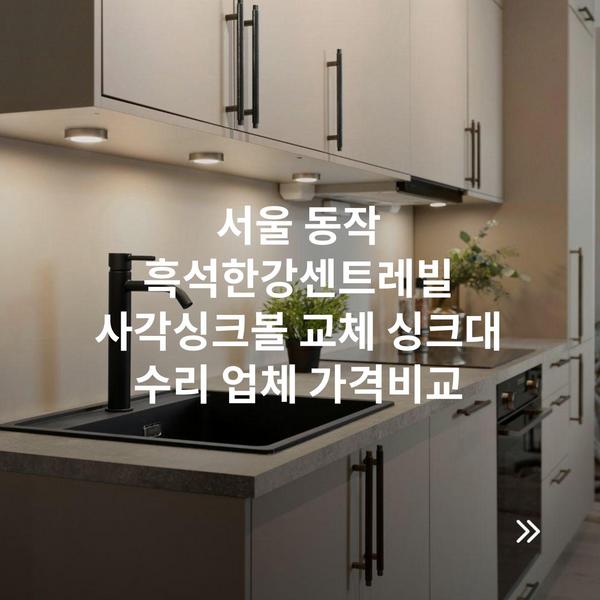 서울 동작 흑석한강센트레빌 사각싱크볼 교체 싱크대 수리 업체 가격비교