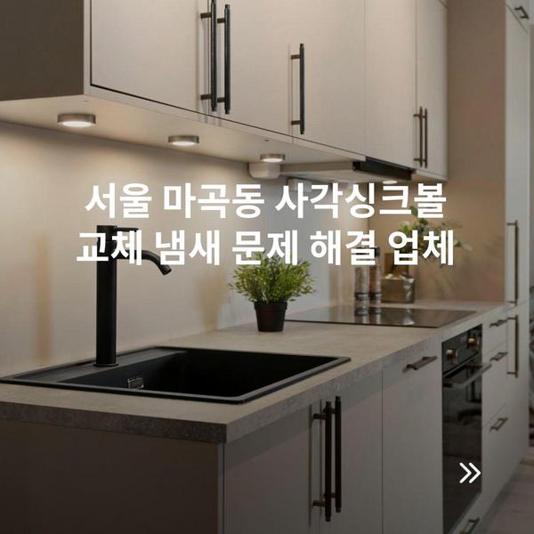 서울 마곡동 사각싱크볼 교체 냄새 문제 해결 업체