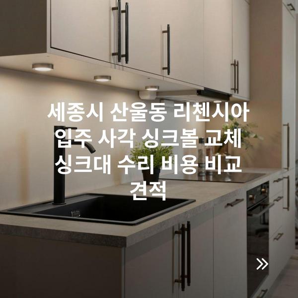 세종시 산울동 리첸시아 입주 사각 싱크볼 교체 싱크대 수리 비용 비교 견적
