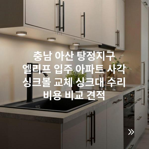 충남 아산 탕정지구 엘리프 입주 아파트 사각 싱크볼 교체 싱크대 수리 비용 비교 견적
