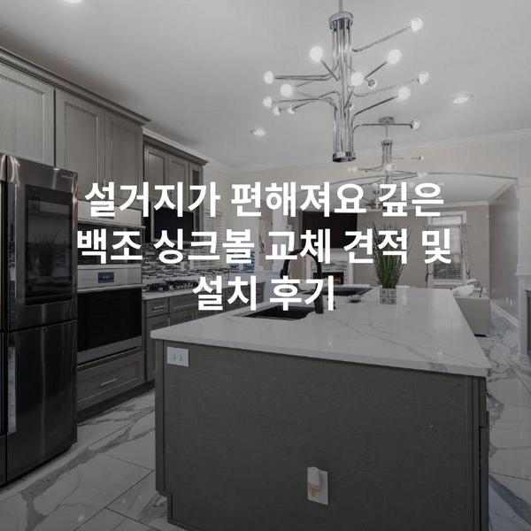 설거지가 편해져요 깊은 백조 싱크볼 교체 견적 및 설치 후기