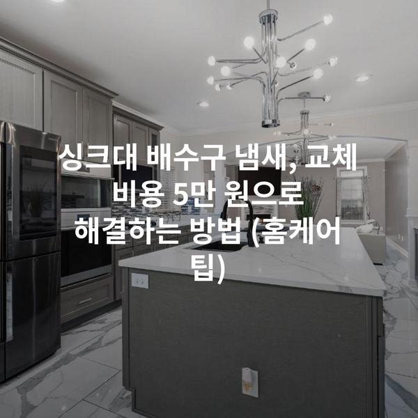 싱크대 배수구 냄새, 교체 비용 5만 원으로 해결하는 방법 (홈케어 팁)