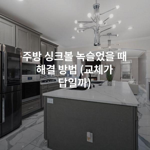 주방 싱크볼 녹슬었을 때 해결 방법 (교체가 답일까)